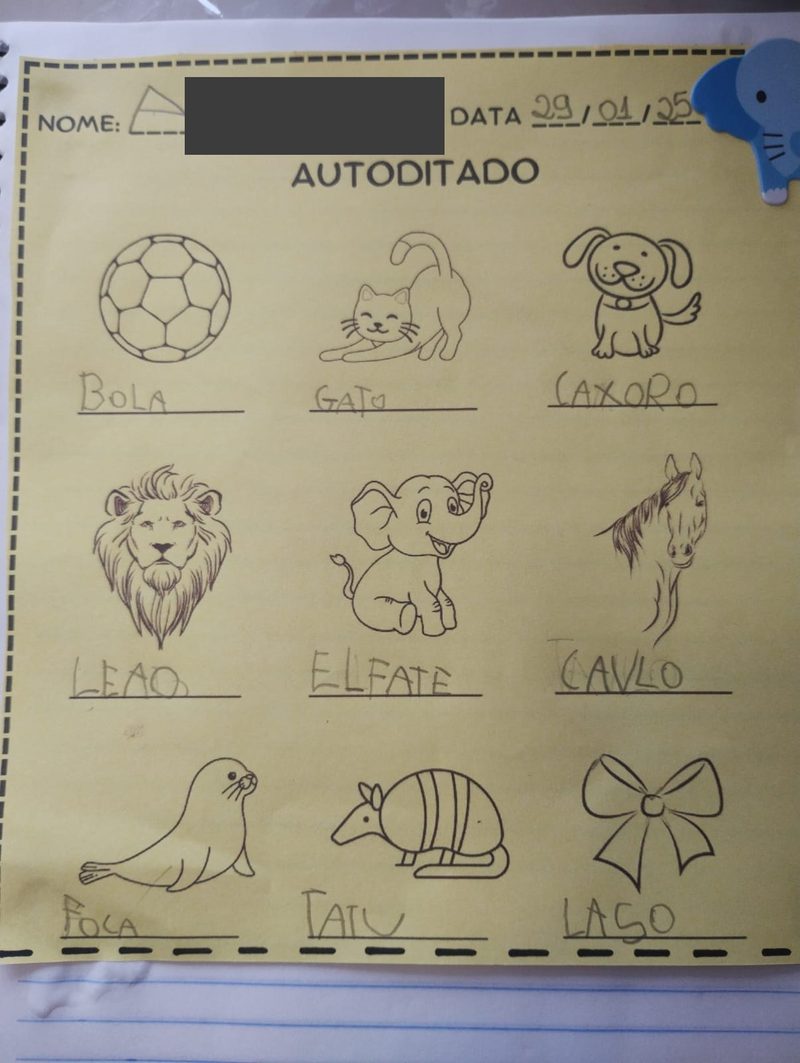Processo de evolução